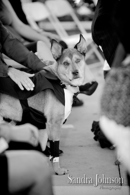 Best Winter Park Civic Center Wedding photographer - Sandra Johnson (SJFoto.com)